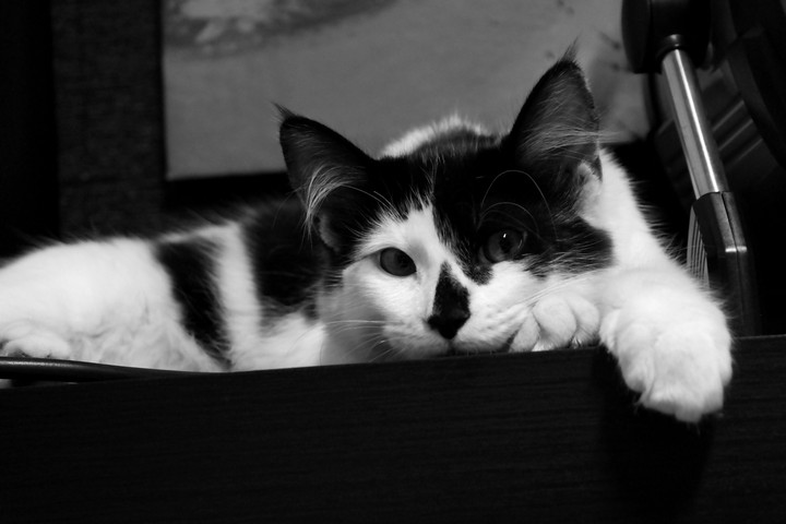 My little friend
