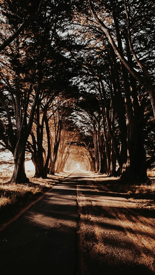 fall