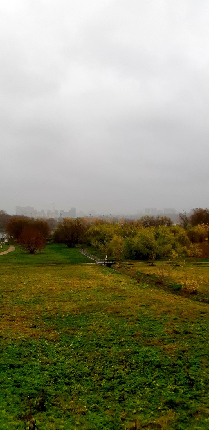 autumn