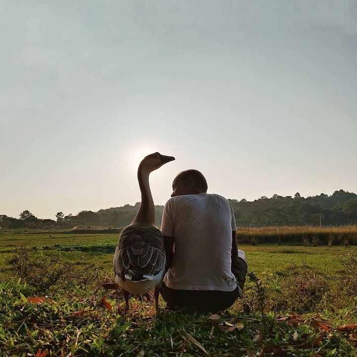 Human Loves