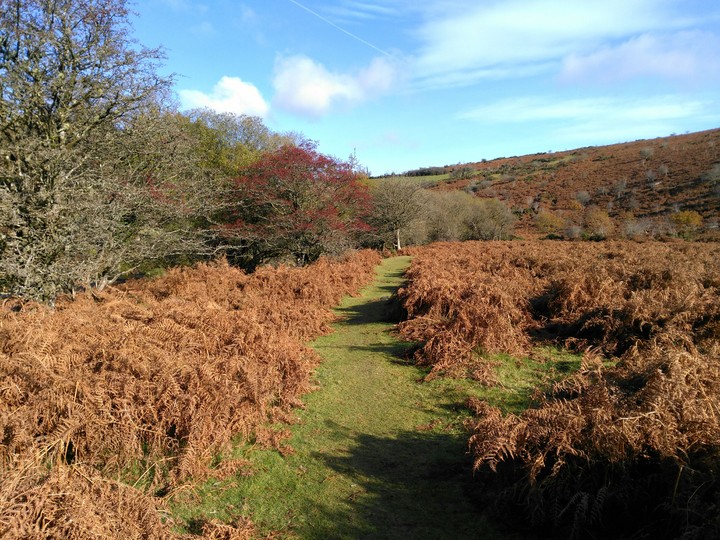 Dartmoor