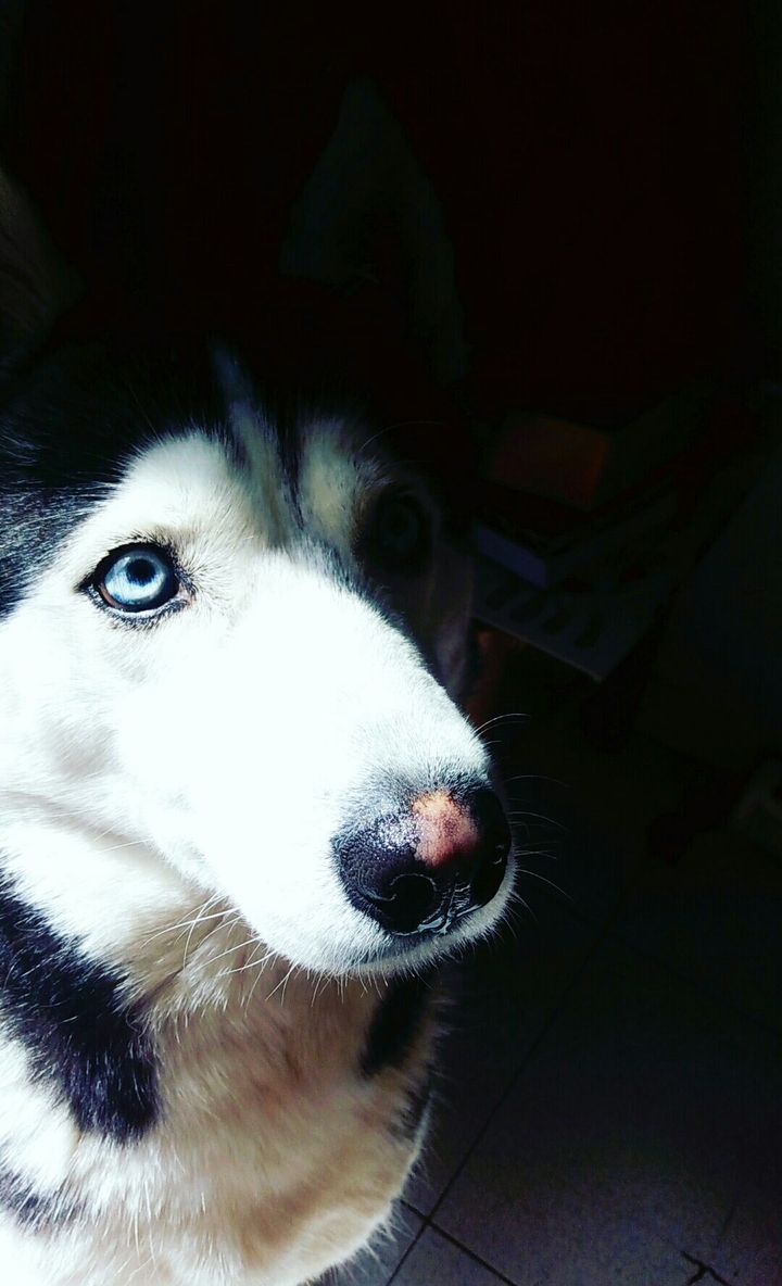 Here I am