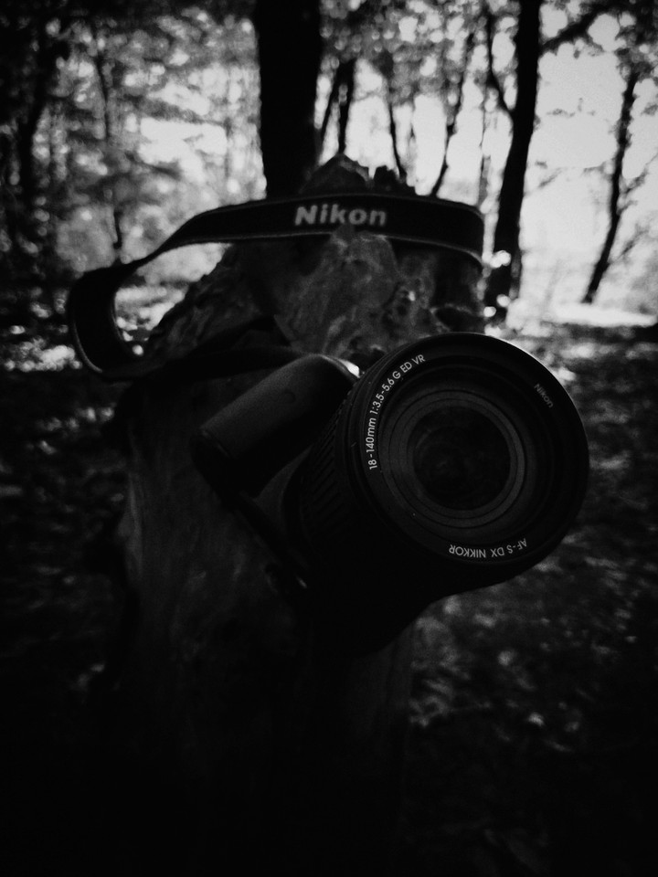 Nikon Camera