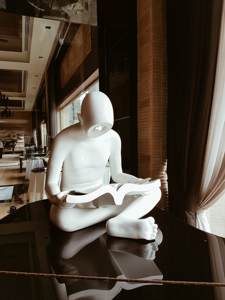 the lone reader