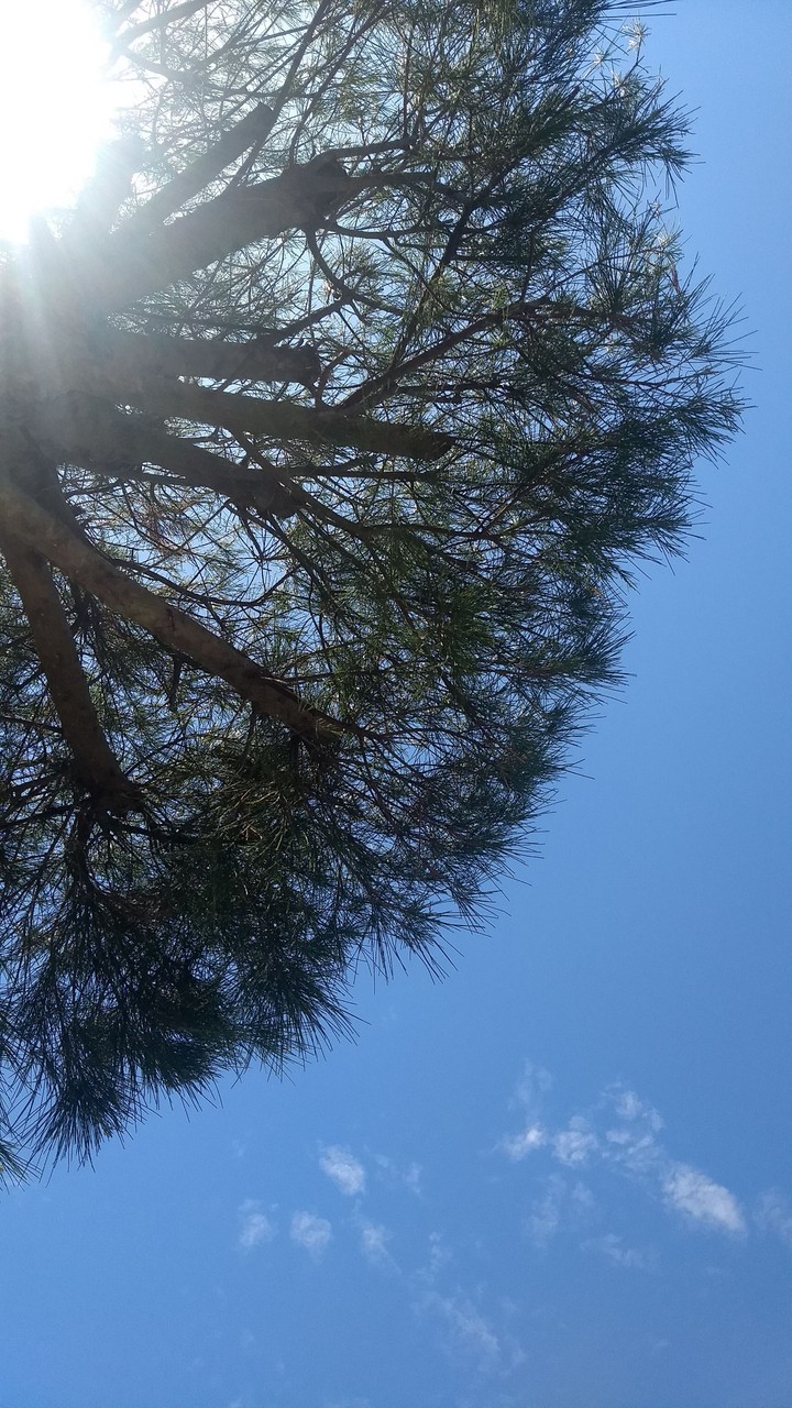 Céu azul
