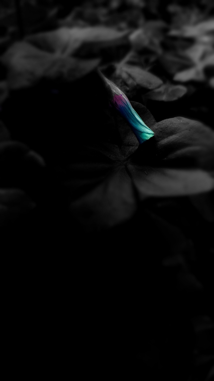 M alone