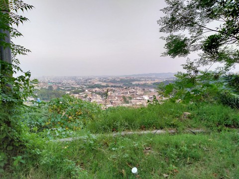 Greenery & buildings