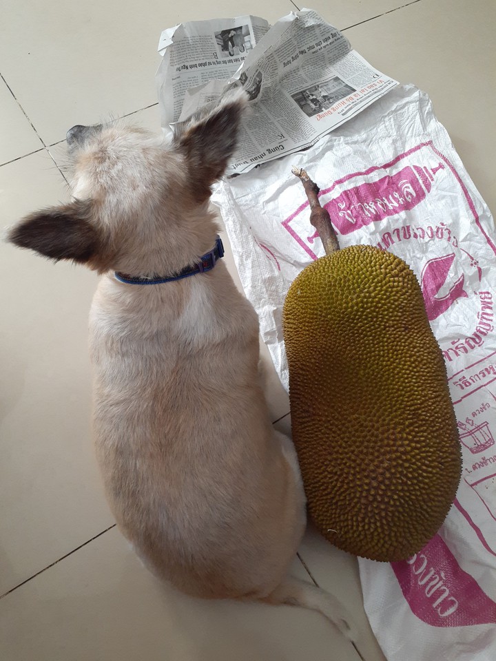 Big