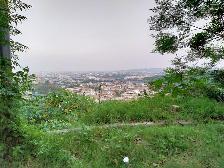 Greenery & buildings