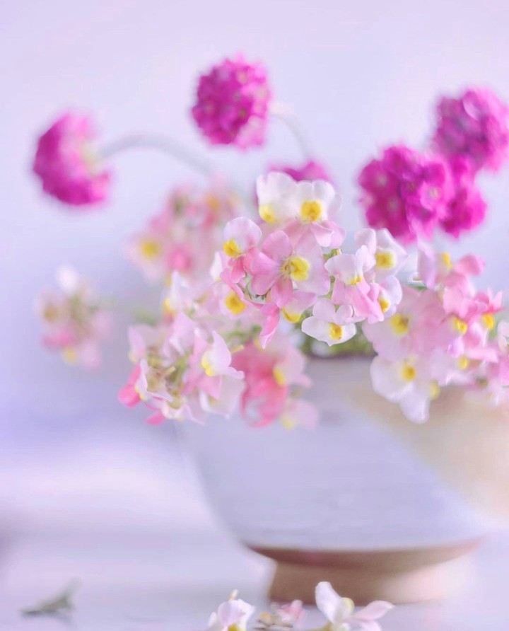 Pink