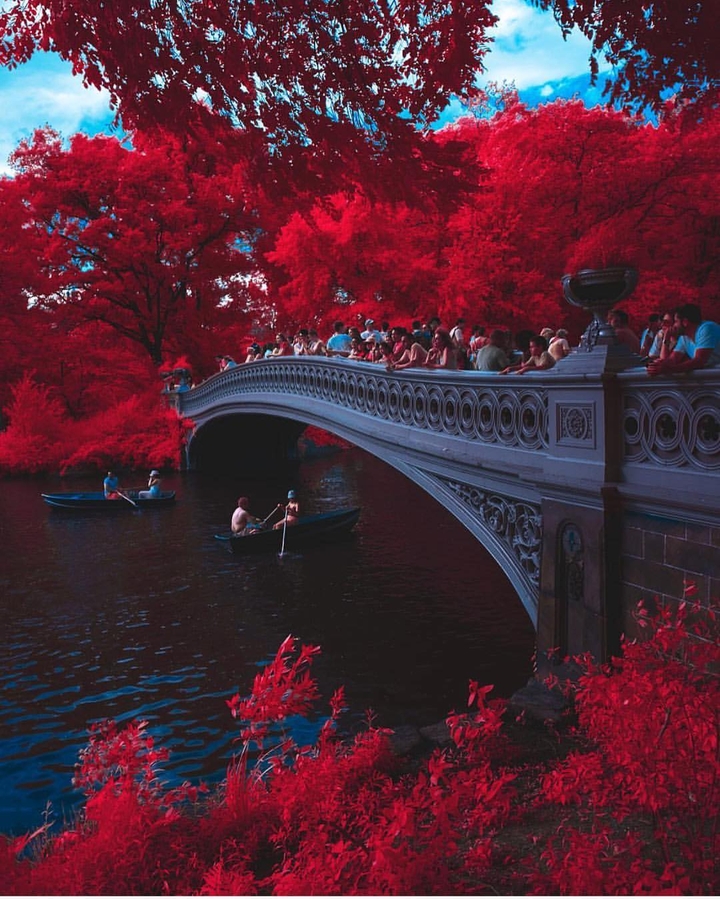 Red lake