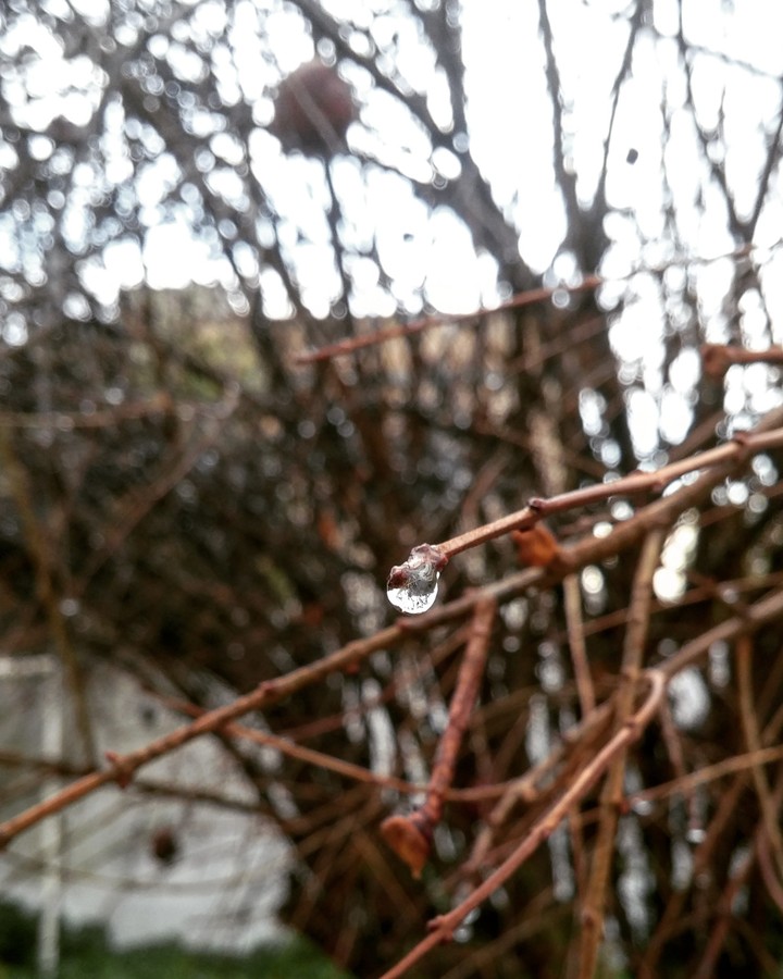 a single drop of water