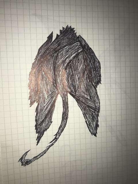 Disegno Ali