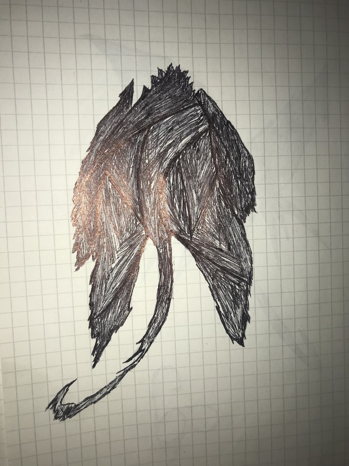 Disegno Ali