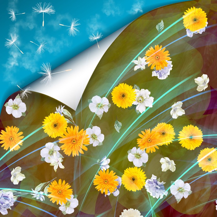 summer wallpaper...