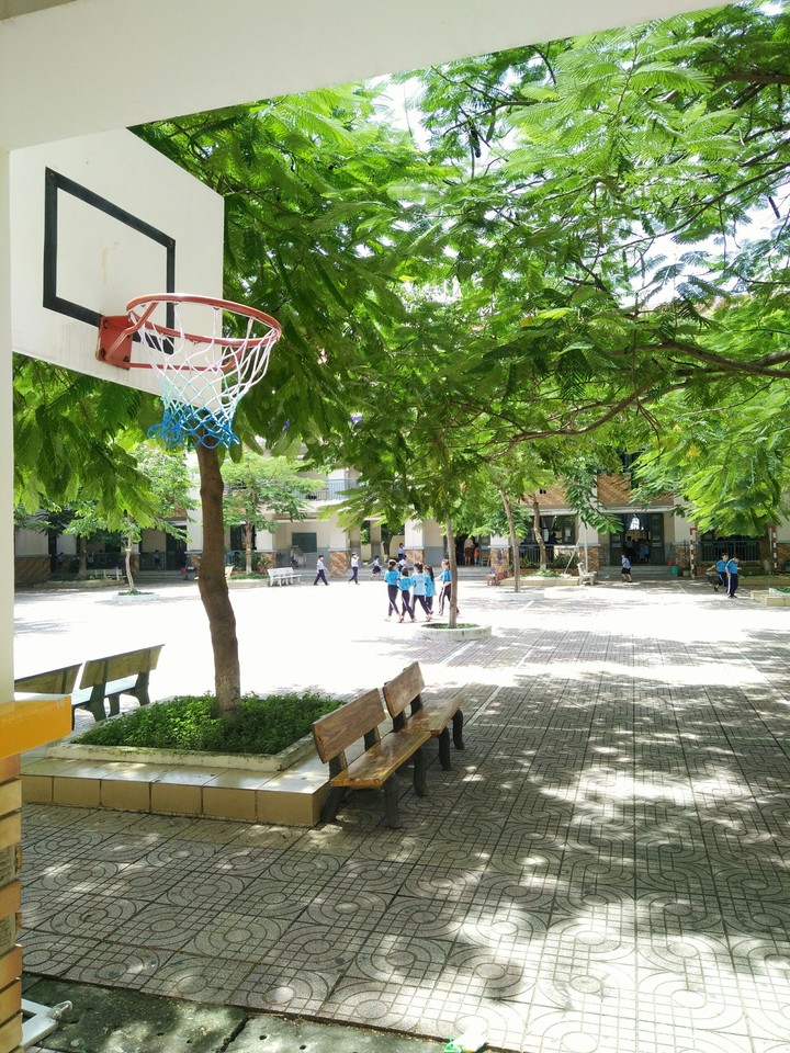 schoolyard