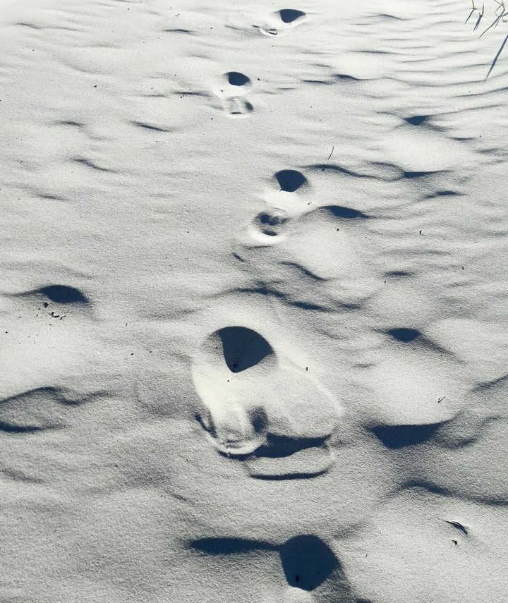Footsteps
