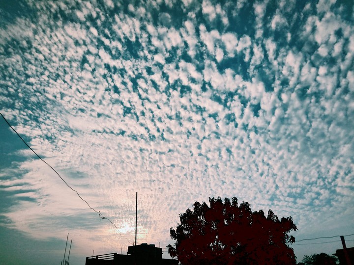 Sky
