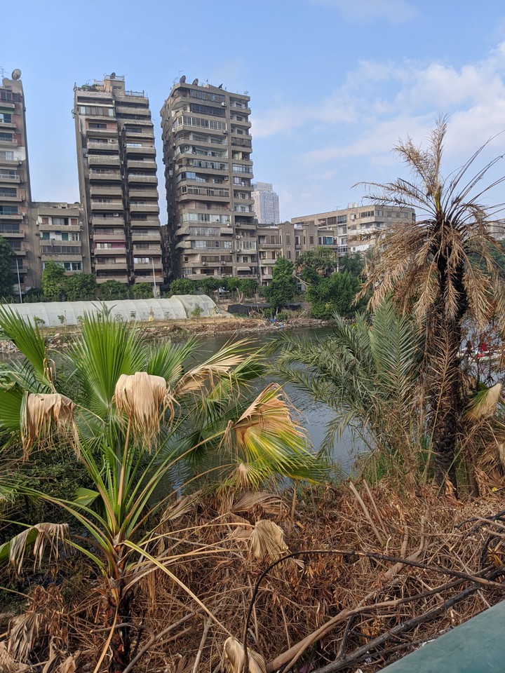 Nile corniche