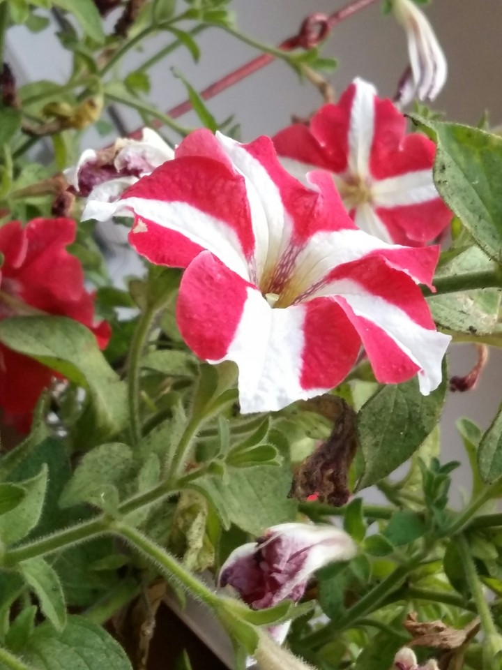 Mother Nature's Creation!!!