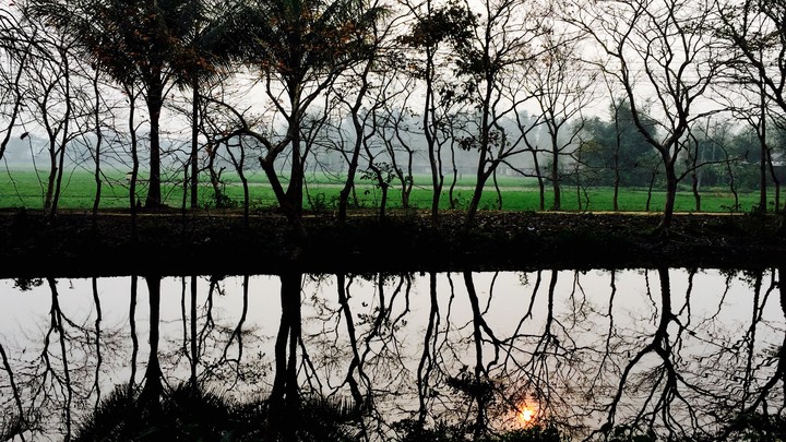 Reflection of Nature