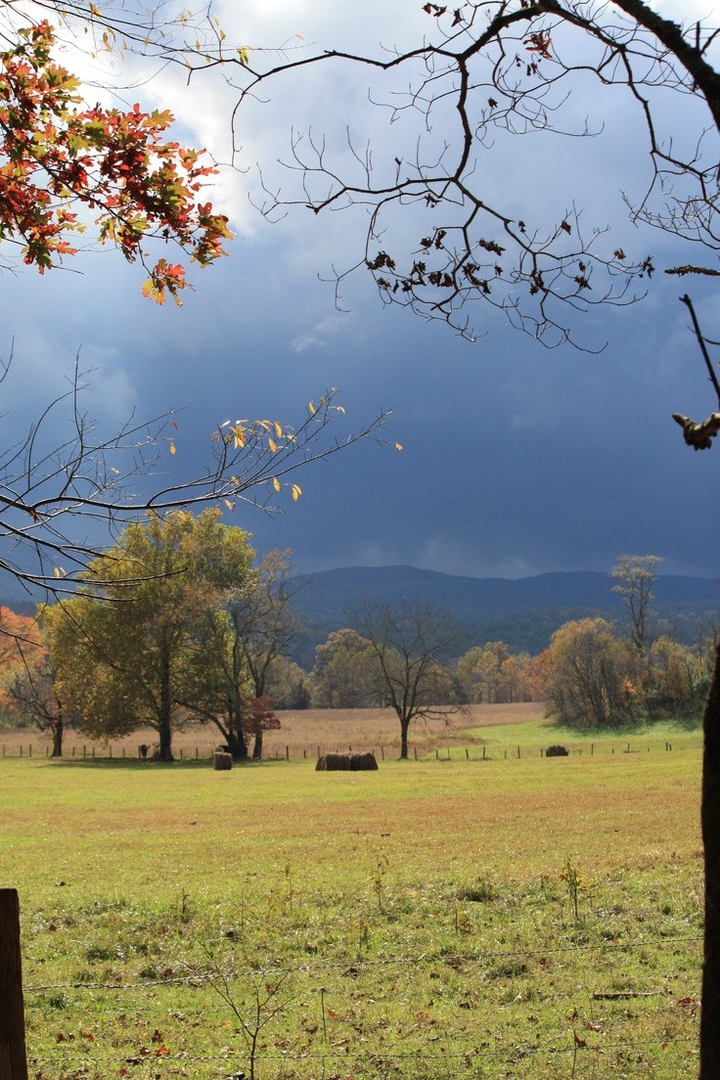 beautiful climate