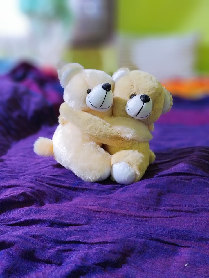 lovely teddy