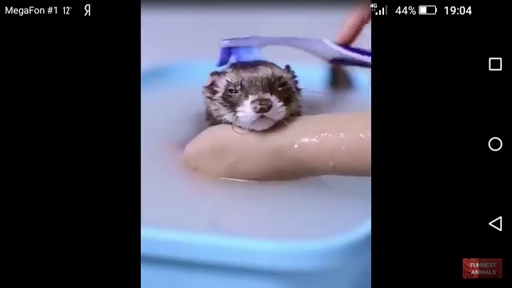 Это так мило
