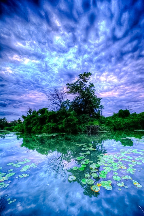 strata & pond