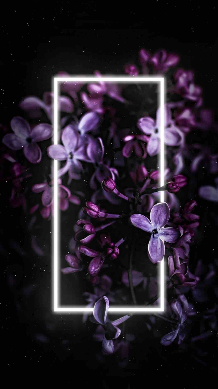 неон