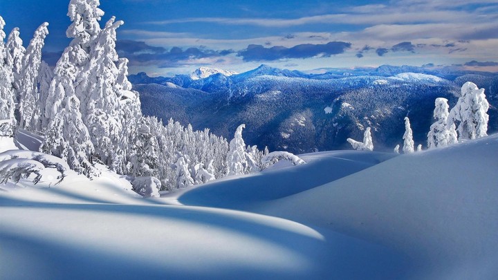 Winter