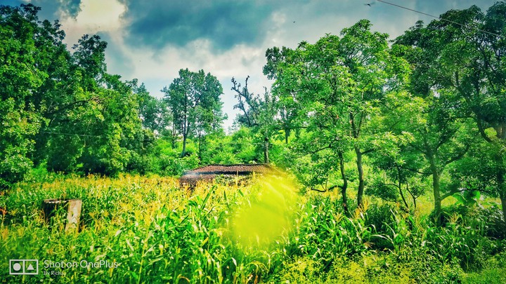 green