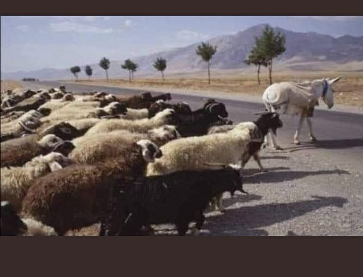 Mohammad and Muslim army !!