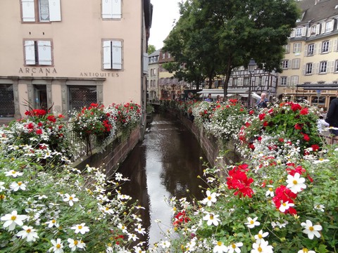 Colmar