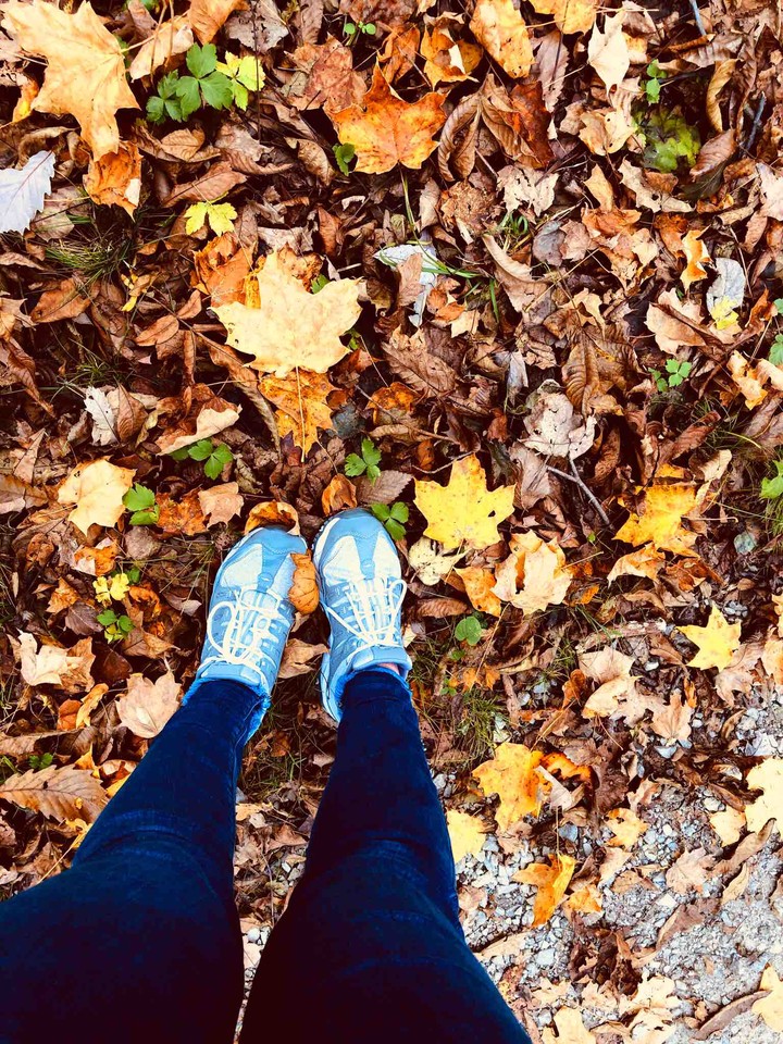 autumn ?