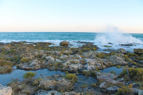 scogli