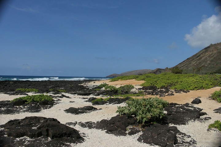 beach
