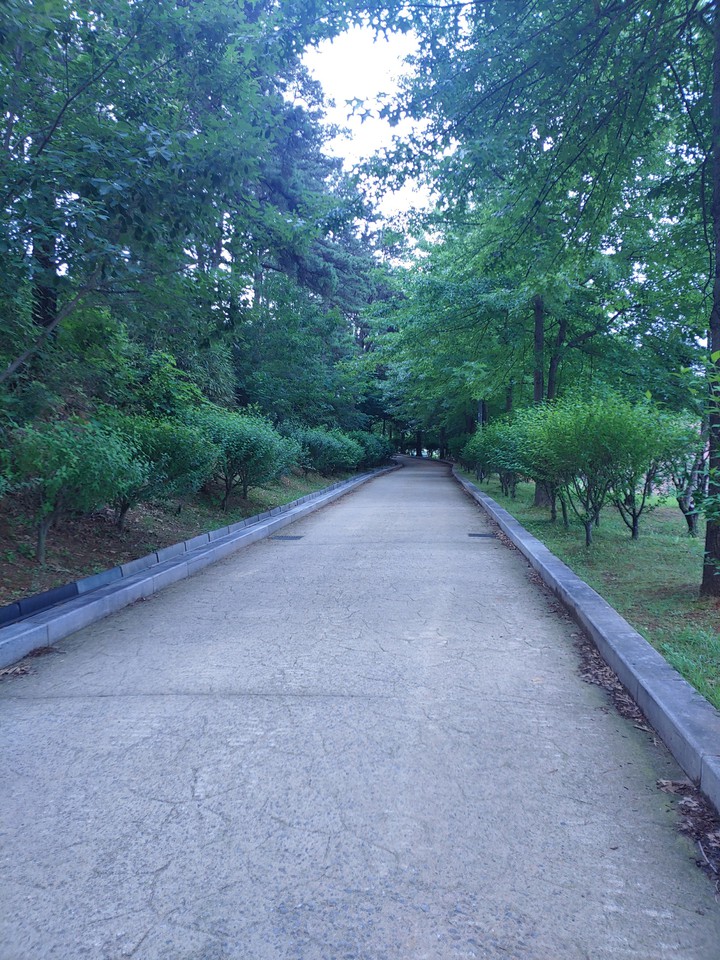 산길셀카