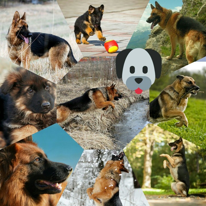 GSD WALLPAPER