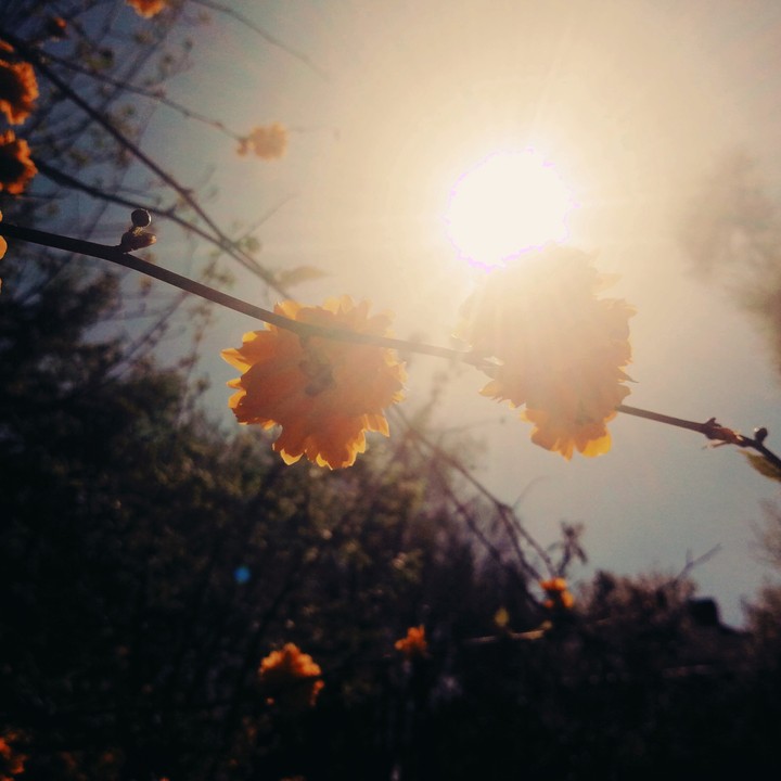 Sunshine as me *-*