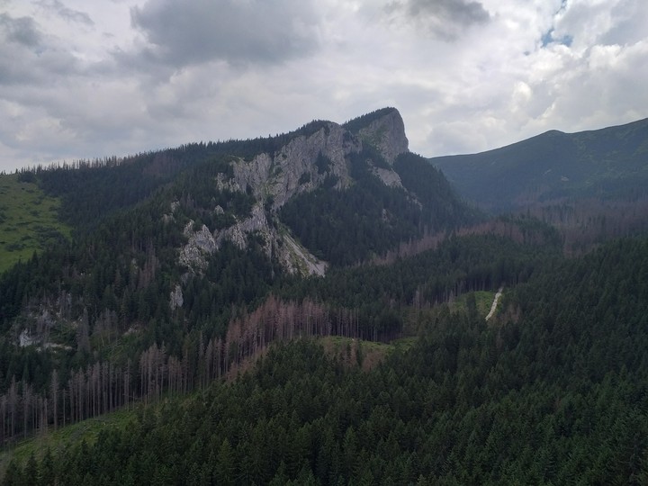Mountian