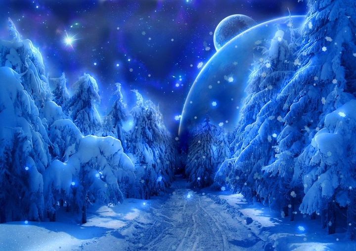 Magic Winter Night