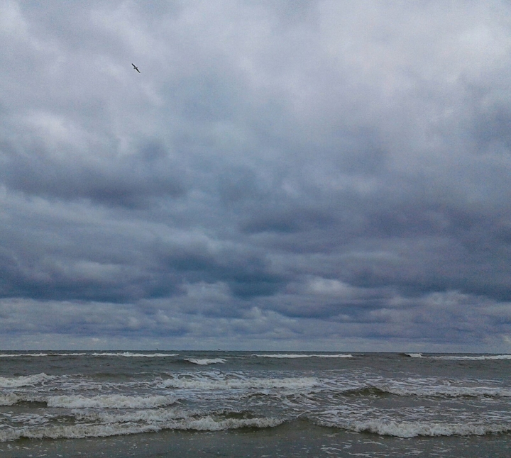 Sea