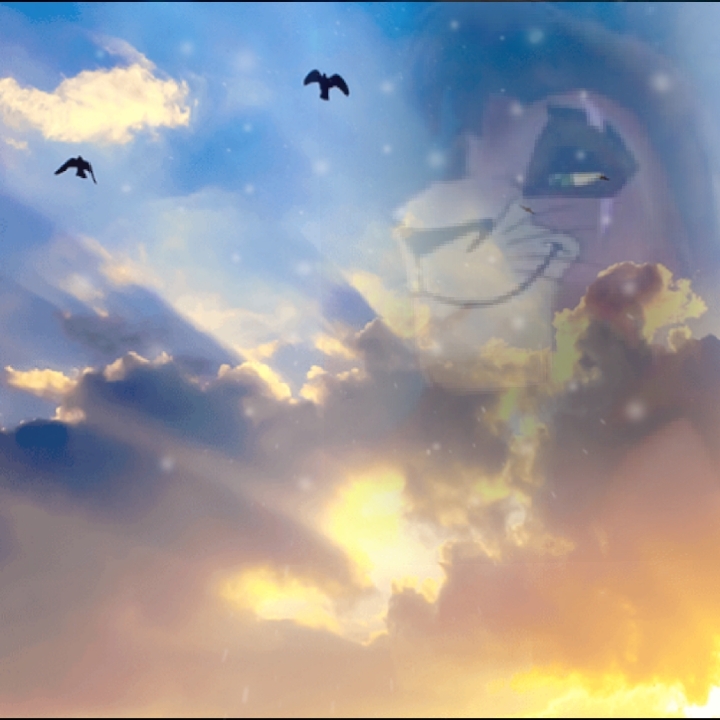 Kovu