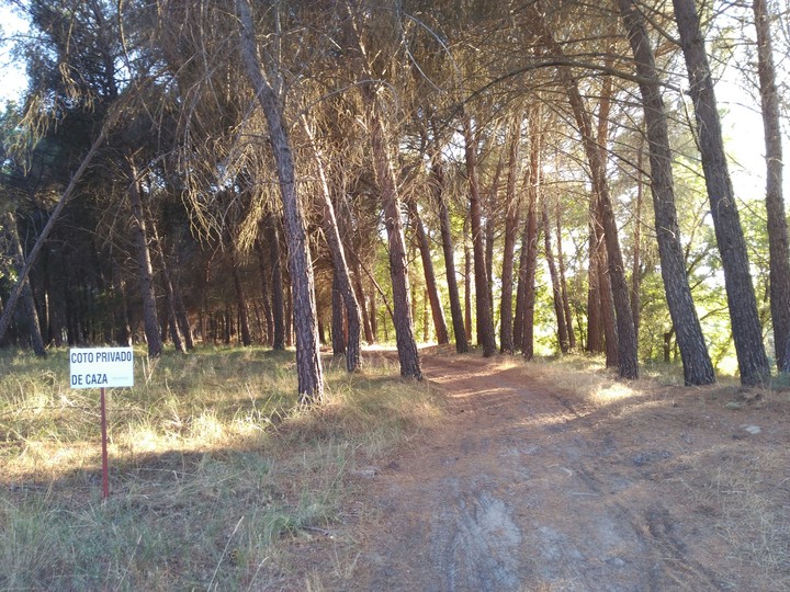 bosques de España