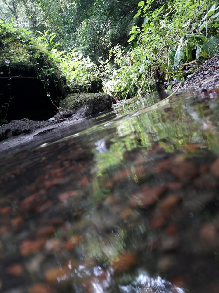 Arroyo natural