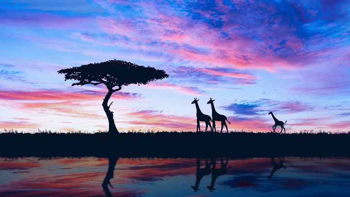 colours