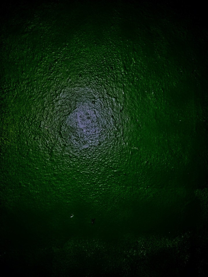 green wall