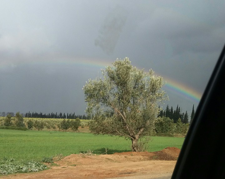 rainbow