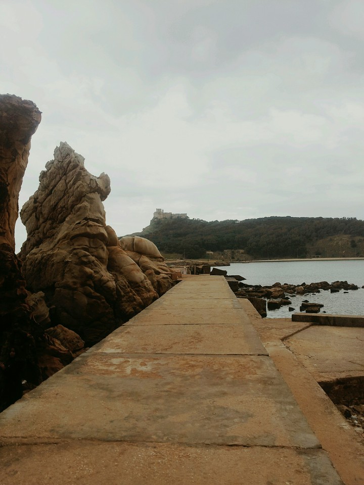 paysage
